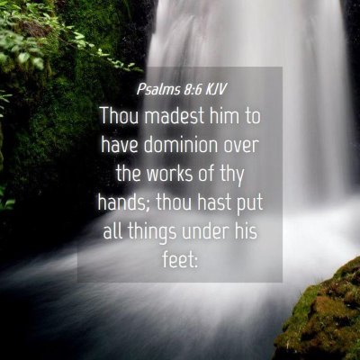 Picture 04 - Psalms 8:6 KJV - Thou madest him to have dominion over the works - Bible Verse Picture