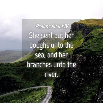 Picture 04 - Psalms 80:11 KJV - She sent out her boughs unto the sea, and her - Bible Verse Picture