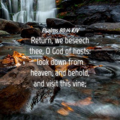 Picture 04 - Psalms 80:14 KJV - Return, we beseech thee, O God of hosts: look - Bible Verse Picture