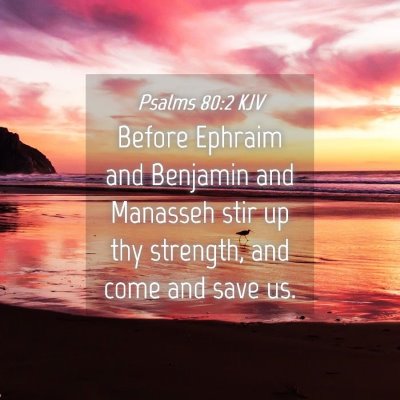 Picture 04 - Psalms 80:2 KJV - Before Ephraim and Benjamin and Manasseh stir up - Bible Verse Picture