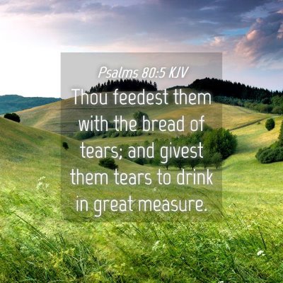 Picture 04 - Psalms 80:5 KJV - Thou feedest them with the bread of tears; and - Bible Verse Picture