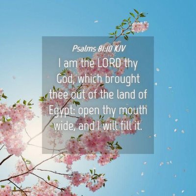 Picture 04 - Psalms 81:10 KJV - I am the LORD thy God, which brought thee out of - Bible Verse Picture