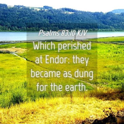 Picture 04 - Psalms 83:10 KJV - Which perished at Endor: they became as dung for - Bible Verse Picture