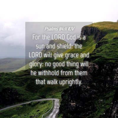 Picture 04 - Psalms 84:11 KJV - For the LORD God is a sun and shield: the LORD - Bible Verse Picture
