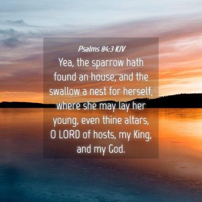 Picture 04 - Psalms 84:3 KJV - Yea, the sparrow hath found an house, and the - Bible Verse Picture