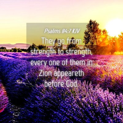 Picture 04 - Psalms 84:7 KJV - They go from strength to strength, every one of - Bible Verse Picture