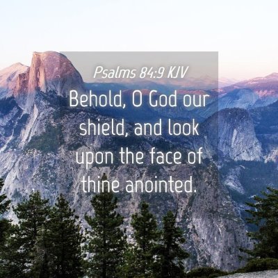 Picture 04 - Psalms 84:9 KJV - Behold, O God our shield, and look upon the face - Bible Verse Picture