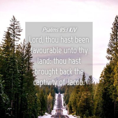 Picture 04 - Psalms 85:1 KJV - Lord, thou hast been favourable unto thy land: - Bible Verse Picture