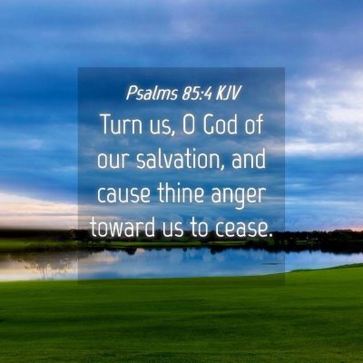 Picture 04 - Psalms 85:4 KJV - Turn us, O God of our salvation, and cause thine - Bible Verse Picture