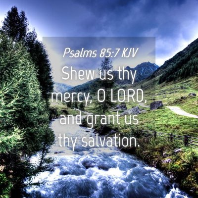 Picture 04 - Psalms 85:7 KJV - Shew us thy mercy, O LORD, and grant us thy - Bible Verse Picture