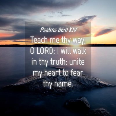 Picture 04 - Psalms 86:11 KJV - Teach me thy way, O LORD; I will walk in thy - Bible Verse Picture