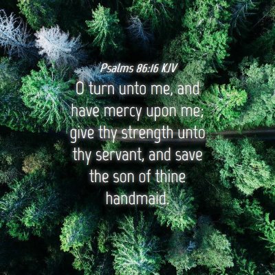 Picture 04 - Psalms 86:16 KJV - O turn unto me, and have mercy upon me; give thy - Bible Verse Picture