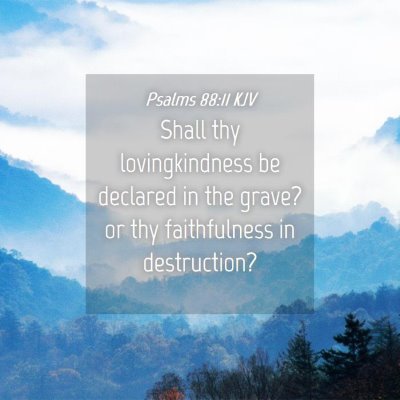 Picture 04 - Psalms 88:11 KJV - Shall thy lovingkindness be declared in the - Bible Verse Picture
