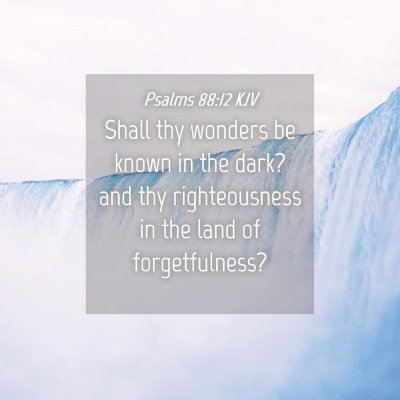 Picture 04 - Psalms 88:12 KJV - Shall thy wonders be known in the dark? and thy - Bible Verse Picture