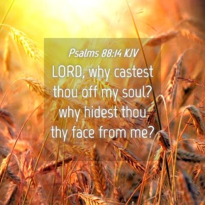 Picture 04 - Psalms 88:14 KJV - LORD, why castest thou off my soul? why hidest - Bible Verse Picture