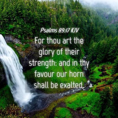 Picture 04 - Psalms 89:17 KJV - For thou art the glory of their strength: and in - Bible Verse Picture