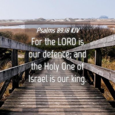 Picture 04 - Psalms 89:18 KJV - For the LORD is our defence; and the Holy One of - Bible Verse Picture
