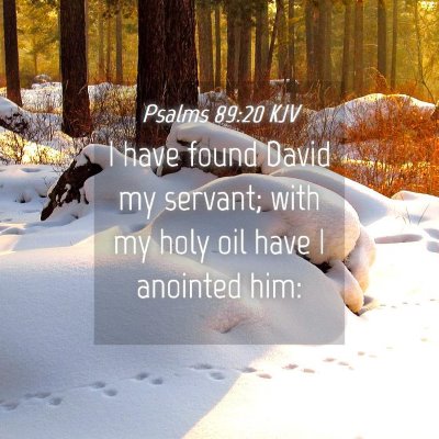 Picture 04 - Psalms 89:20 KJV - I have found David my servant; with my holy oil - Bible Verse Picture