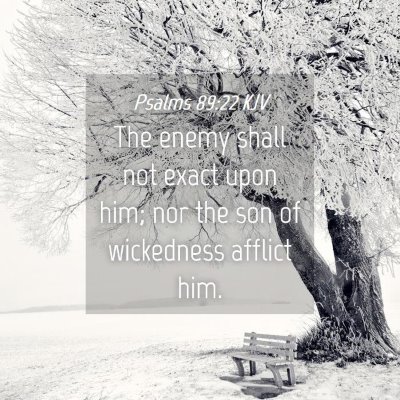 Picture 04 - Psalms 89:22 KJV - The enemy shall not exact upon him; nor the son - Bible Verse Picture