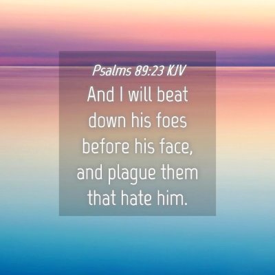 Picture 04 - Psalms 89:23 KJV - And I will beat down his foes before his face, - Bible Verse Picture