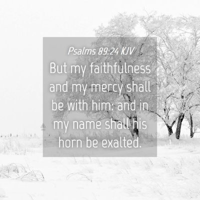 Picture 04 - Psalms 89:24 KJV - But my faithfulness and my mercy shall be with - Bible Verse Picture
