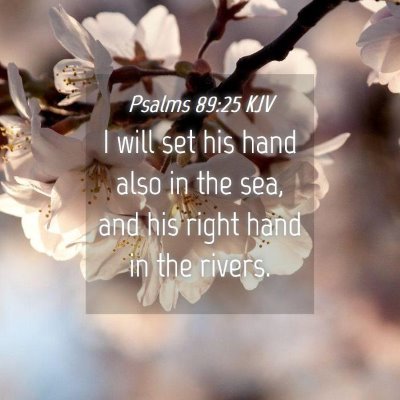 Picture 04 - Psalms 89:25 KJV - I will set his hand also in the sea, and his - Bible Verse Picture
