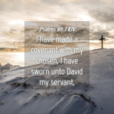 Picture 04 - Psalms 89:3 KJV - I have made a covenant with my chosen, I have - Bible Verse Picture