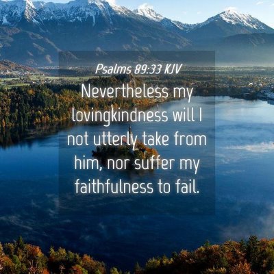 Picture 04 - Psalms 89:33 KJV - Nevertheless my lovingkindness will I not utterly - Bible Verse Picture