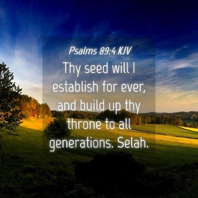 Picture 04 - Psalms 89:4 KJV - Thy seed will I establish for ever, and build up - Bible Verse Picture
