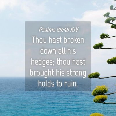 Picture 04 - Psalms 89:40 KJV - Thou hast broken down all his hedges; thou hast - Bible Verse Picture