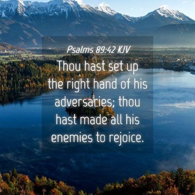Picture 04 - Psalms 89:42 KJV - Thou hast set up the right hand of his - Bible Verse Picture