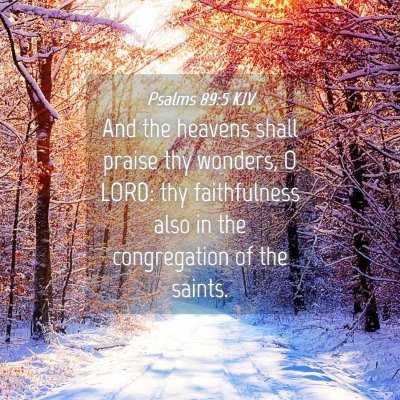 Picture 04 - Psalms 89:5 KJV - And the heavens shall praise thy wonders, O LORD: - Bible Verse Picture