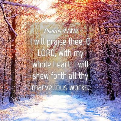 Picture 04 - Psalms 9:1 KJV - I will praise thee, O LORD, with my whole heart; - Bible Verse Picture