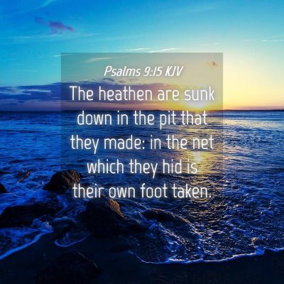 Picture 04 - Psalms 9:15 KJV - The heathen are sunk down in the pit that they - Bible Verse Picture