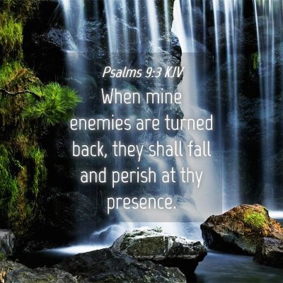 Picture 04 - Psalms 9:3 KJV - When mine enemies are turned back, they shall - Bible Verse Picture