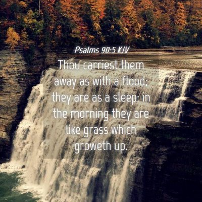 Picture 04 - Psalms 90:5 KJV - Thou carriest them away as with a flood; they are - Bible Verse Picture