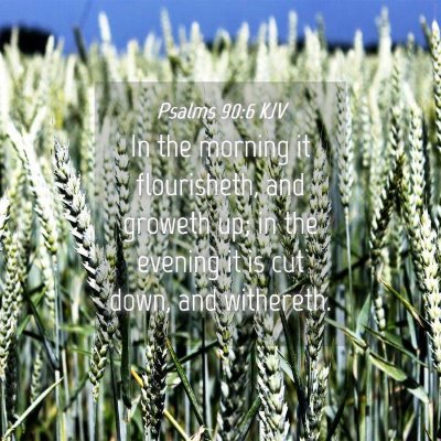 Picture 04 - Psalms 90:6 KJV - In the morning it flourisheth, and groweth up; in - Bible Verse Picture