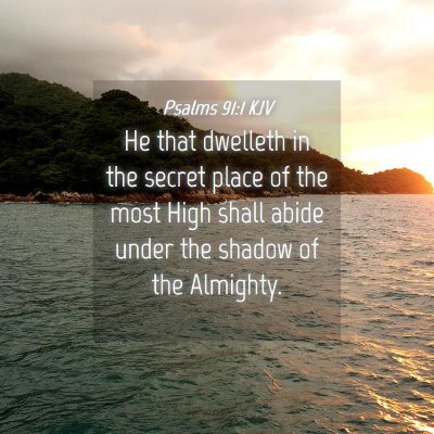 Picture 04 - Psalms 91:1 KJV - He that dwelleth in the secret place of the most - Bible Verse Picture