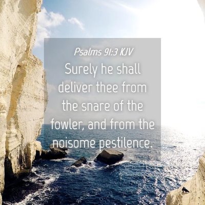 Picture 04 - Psalms 91:3 KJV - Surely he shall deliver thee from the snare of - Bible Verse Picture