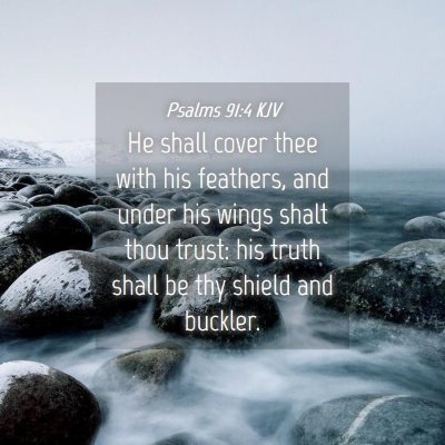 Picture 04 - Psalms 91:4 KJV - He shall cover thee with his feathers, and under - Bible Verse Picture