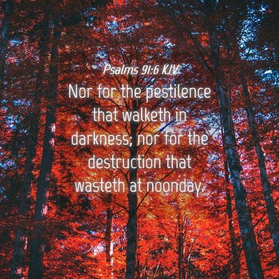 Picture 04 - Psalms 91:6 KJV - Nor for the pestilence that walketh in darkness; - Bible Verse Picture