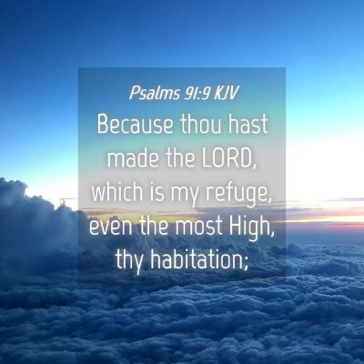 Picture 04 - Psalms 91:9 KJV - Because thou hast made the LORD, which is my - Bible Verse Picture
