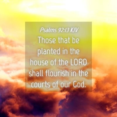 Picture 04 - Psalms 92:13 KJV - Those that be planted in the house of the LORD - Bible Verse Picture