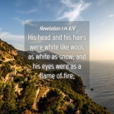 Picture 04 - Revelation 1:14 KJV - His head and his hairs were white like wool, as - Bible Verse Picture