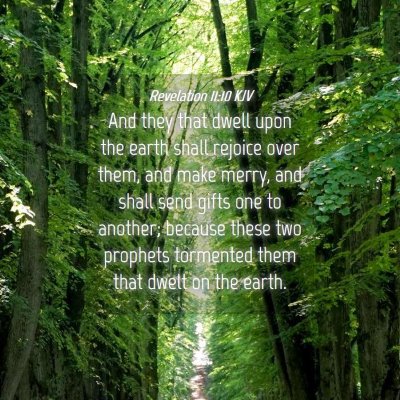 Picture 04 - Revelation 11:10 KJV - And they that dwell upon the earth shall rejoice - Bible Verse Picture