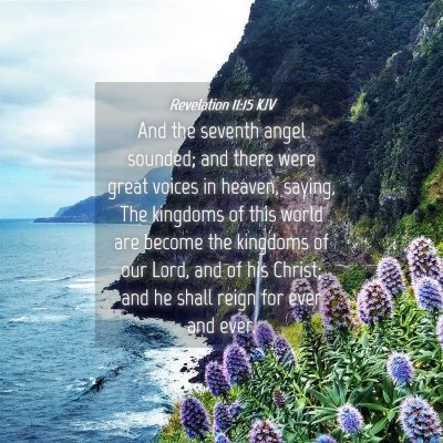 Picture 04 - Revelation 11:15 KJV - And the seventh angel sounded; and there were - Bible Verse Picture