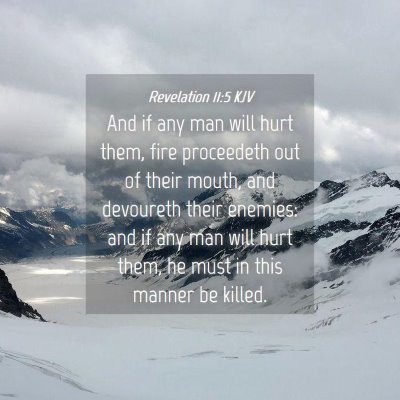 Picture 04 - Revelation 11:5 KJV - And if any man will hurt them, fire proceedeth - Bible Verse Picture
