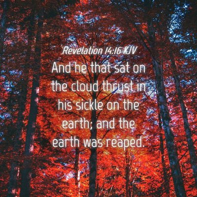 Picture 04 - Revelation 14:16 KJV - And he that sat on the cloud thrust in his sickle - Bible Verse Picture