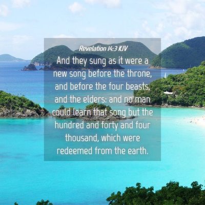 Picture 04 - Revelation 14:3 KJV - And they sung as it were a new song before the - Bible Verse Picture