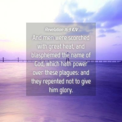 Picture 04 - Revelation 16:9 KJV - And men were scorched with great heat, and - Bible Verse Picture